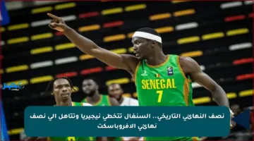 نصف النهائي التاريخي.. السنغال تتخطى نيجيريا وتتأهل إلى نصف نهائي الأفروباسكت